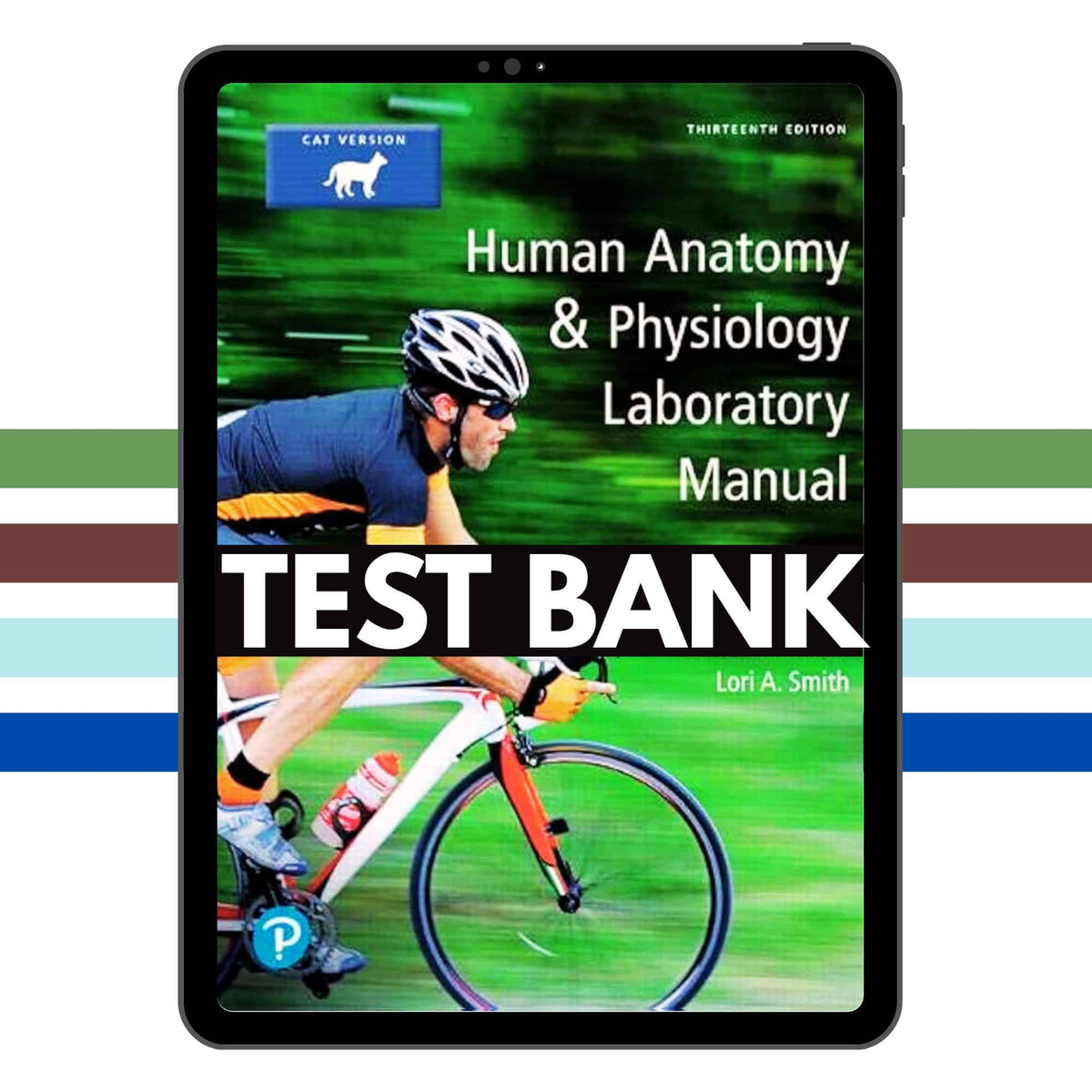 Human Anatomy and Physiology Lab Manual 13th Test Bank
