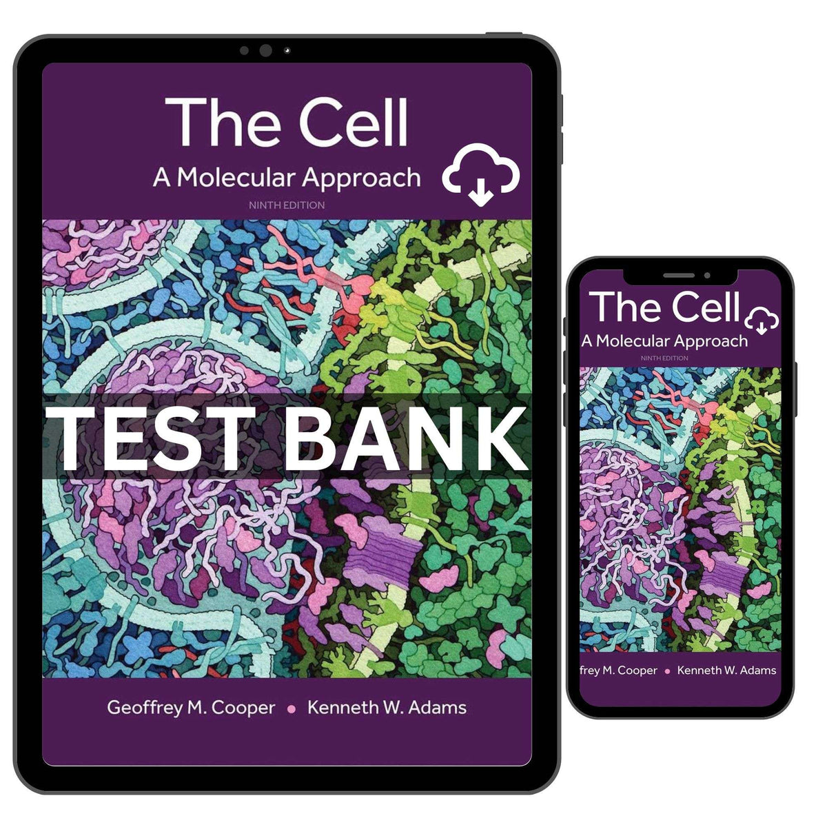 The Cell A Molecular Approach 9th Edition Test Bank